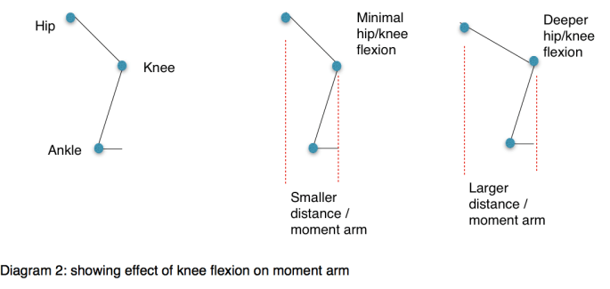 Diagram 2: showing effect of knee flexion on moment arm